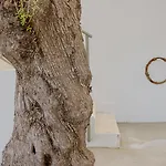 Il Polpo Nero, Par Maison Estran L Sardaigne *