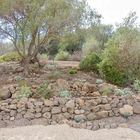 Villa Il Polpo Nero, Par Maison Estran L Sardaigne * Porto Columbu - Perd'E Sali