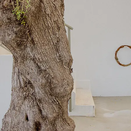 Il Polpo Nero, Par Maison Estran L Sardaigne *