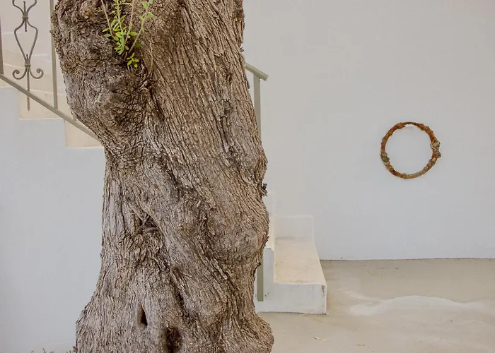 Il Polpo Nero, Par Maison Estran L Sardaigne *