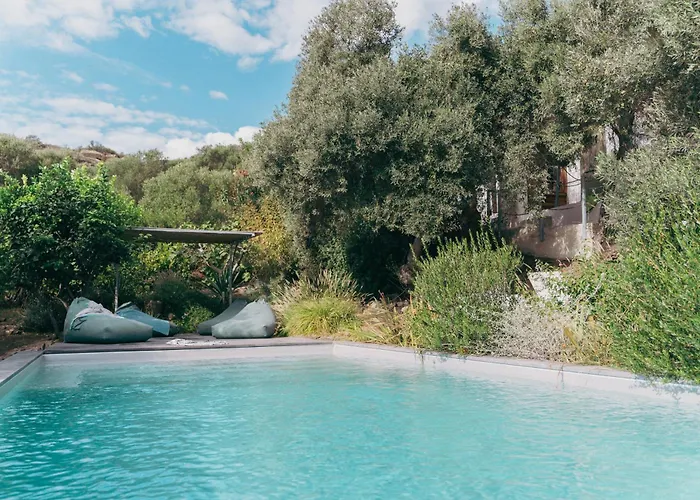 Il Polpo Nero, Par Maison Estran L Sardaigne
